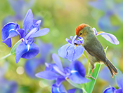 sue hsu's photo